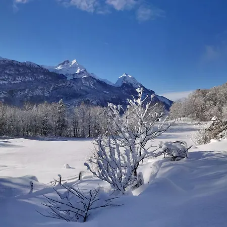 Rauft By Interhome * Hasliberg