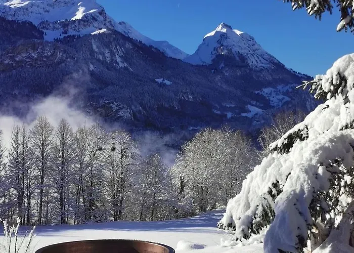 Apartmán Rauft By Interhome Hasliberg