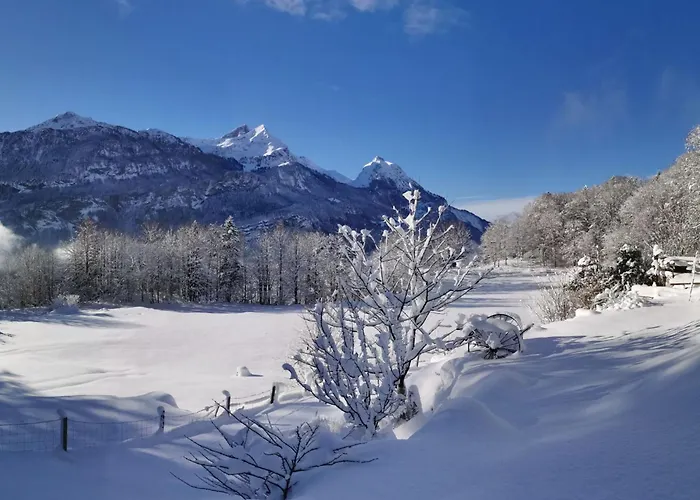 Rauft By Interhome * Hasliberg