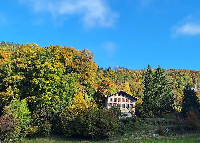 Rauft By Interhome *