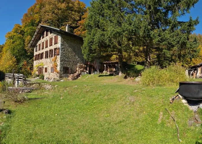 Rauft By Interhome Hasliberg