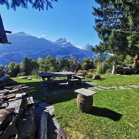 Rauft By Interhome Appartement Hasliberg